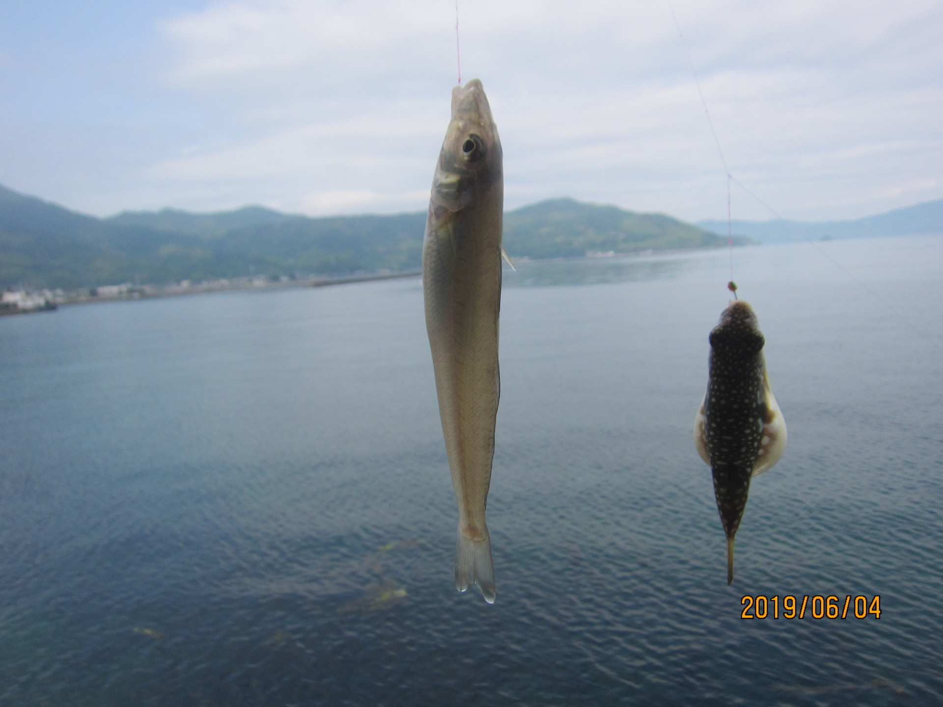 周防大島でキス釣り キスとメバルの釣り歩き